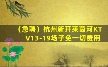 南宁酒吧招聘